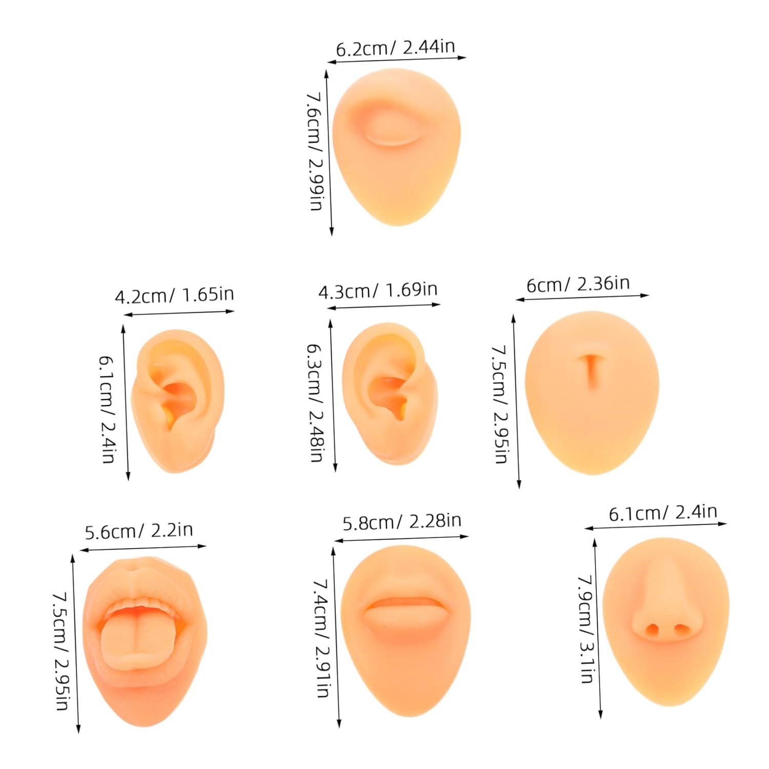Flexible Soft Silicone Model Set Ear Nose Mouth and Tongue Perfect for Piercing Practice and Display