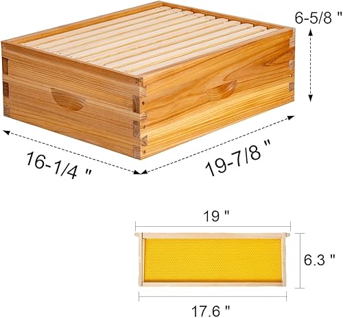 Miniatura 3 de BeeCastle Caja de colmena mediana de miel con 10 marcos de colmena y hojas de base revestidas de cera de abeja
