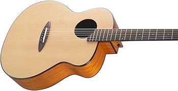 Amazon | 【aNueNue】アコースティックギター エレアコaNN-L10EF