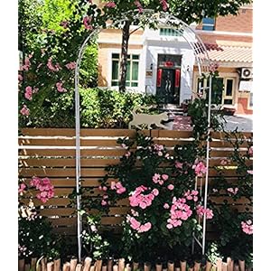 Tuin Boog Trellis Boog Voor Klimplanten Rozen Wijnstokken Ondersteuning Rack, Buitentuin Gazon Achtertuin Patio…