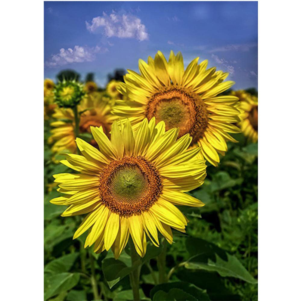 Paint By Number Kits 5D Diamond Painting DIY Sunflower Flower Floral...