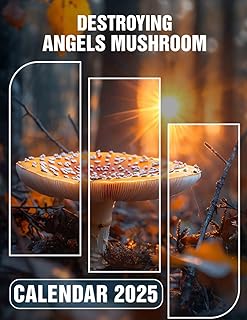 Destroying Angels Mushroom 2025: Explore a Year of Fascinating Fungi with Captivating Destroying Angels, Ideal for Organizing Your Life