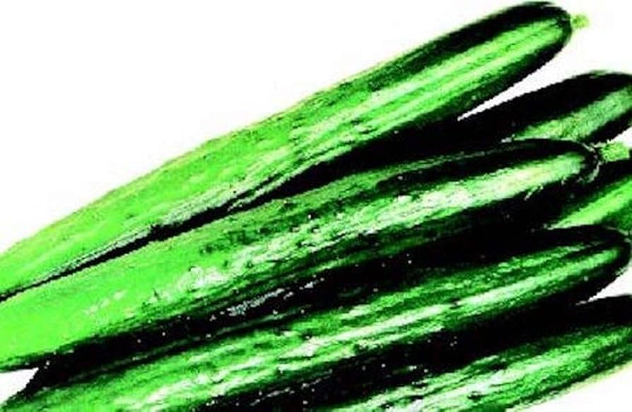 未使用 Magic Cucumbers - Magic Crush 未使用 Magic Cucumbers - Magic Crush Amazon.com : Japanese