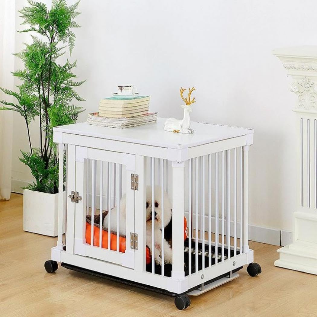 X -Japan【非売品】 中古】 MOMENT/DVD/PCBP-50647 Tynemouth Software: ZX Spectrum