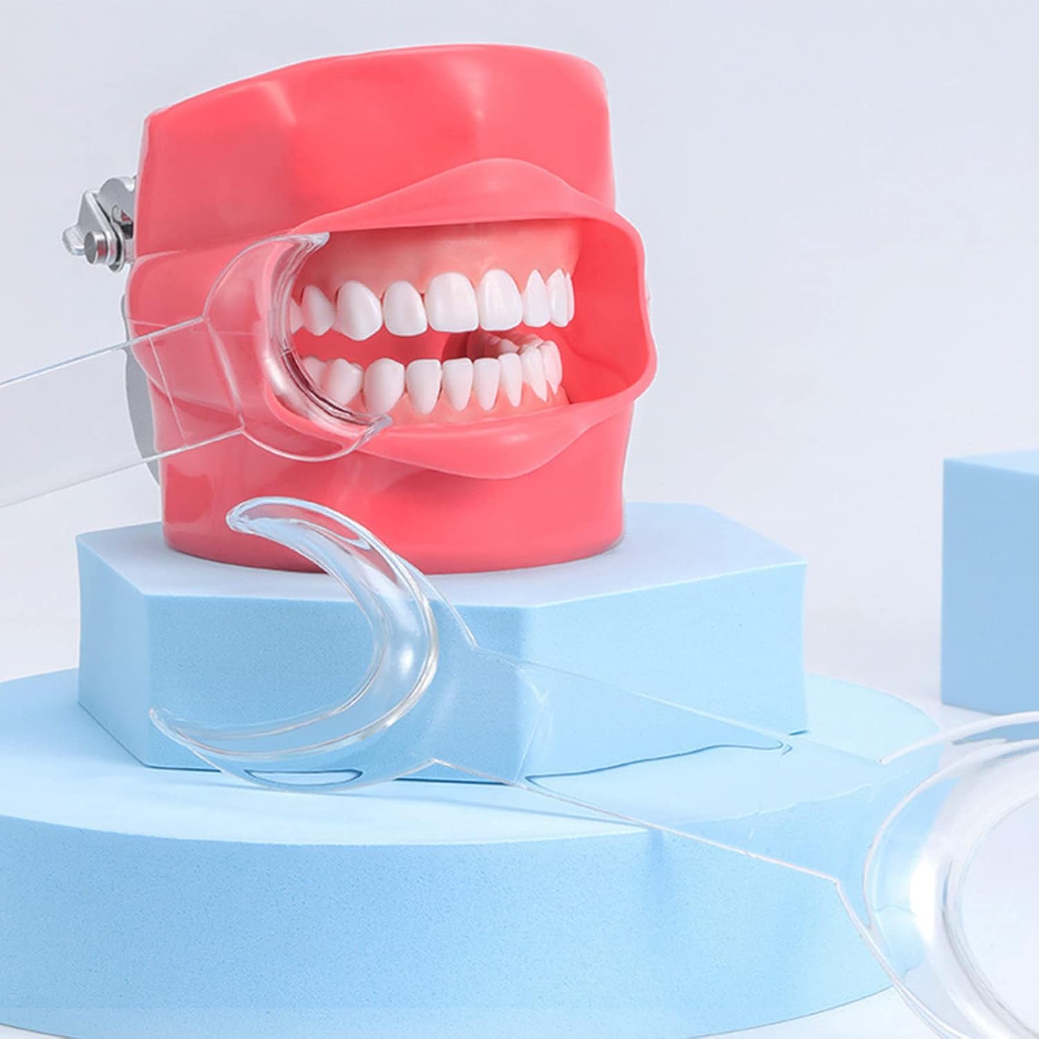 6 Pcs T-Shape Dental Cheek Retractor Double Head Mouth Opener,3 Large Size+3 Small Size Double Head Mouth Opener，Surgical Retractor for Teeth Whitening Dental Orthodontic Tool (Transparent)