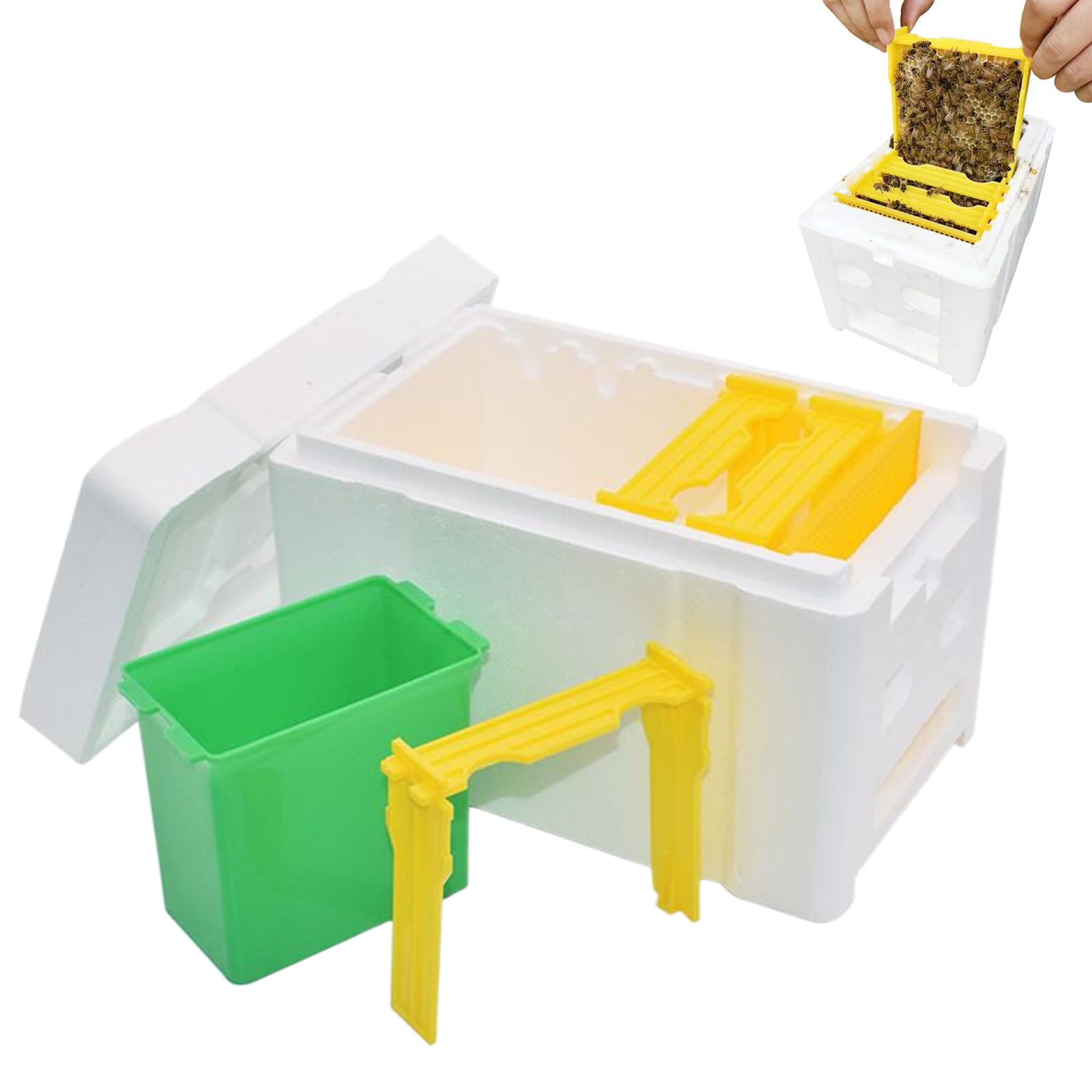 Boîte à ruche de soutien de la Reine - Optimisation des performances dans la ruche en mousse de mousse de série, accessoires de jardin avec compartiment pour débutants, terrasse de jardin d'hiberné