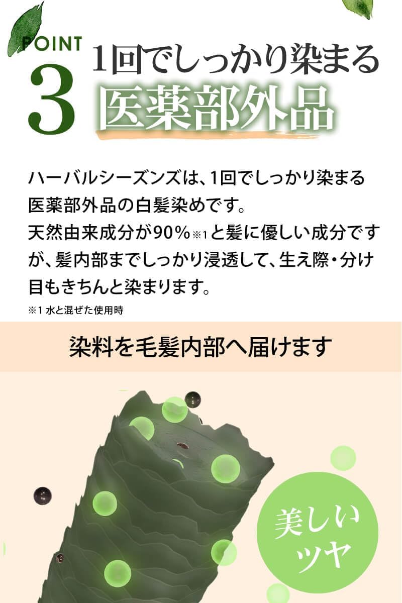 BK 【監修】 80g×1袋 ブラック