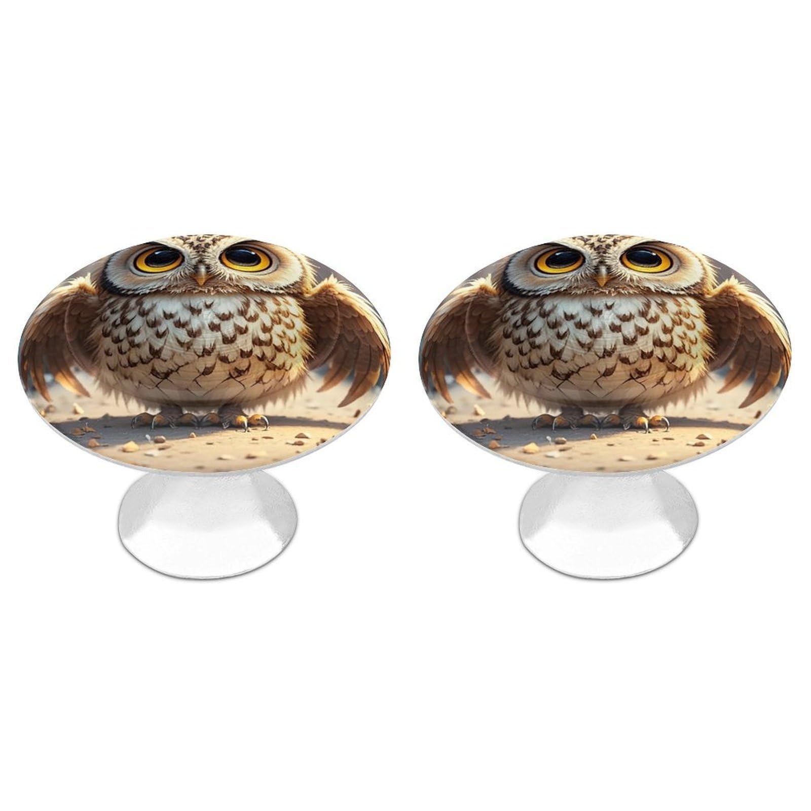 FekiLoot Round Cabinet Knob 2 Pack Kitchen Drawer Knobs Stainless Steel Round Drawer Pulls Modern Cabinet Hardware Cute Owl Drawer Hardware for Dresser Closet Door Knobs