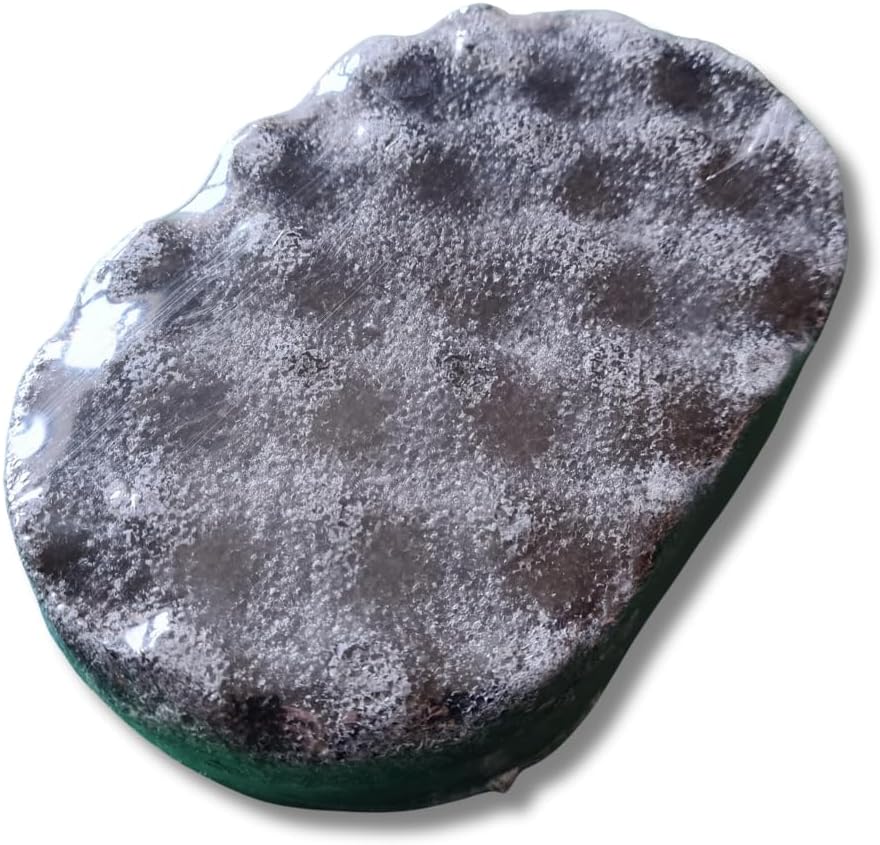 Soap Filled Exfoliating Sponge Perfume Scented (Black Opeum)
