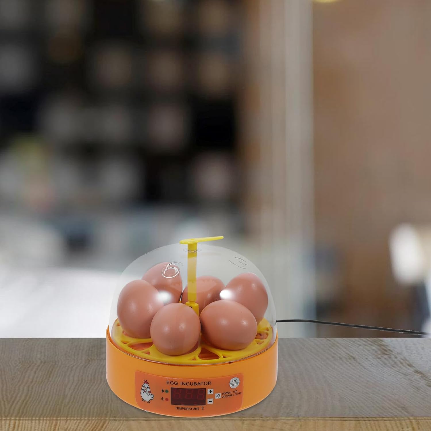 Fully Automatic 6-Egg Incubator for Chicken and Quail Eggs Hatching with Ac110v Power Poultry Egg Incubator with Superior Hatch Rate Suitable for Home and Farm Use