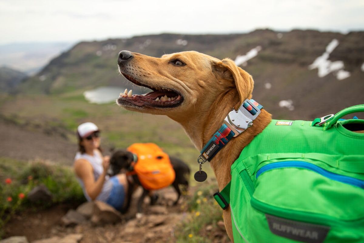RUFFWEAR - Collare per cani in corda superiore, collare riflettente con fibbia in metallo per uso quotidiano, tramonto, 20-26"