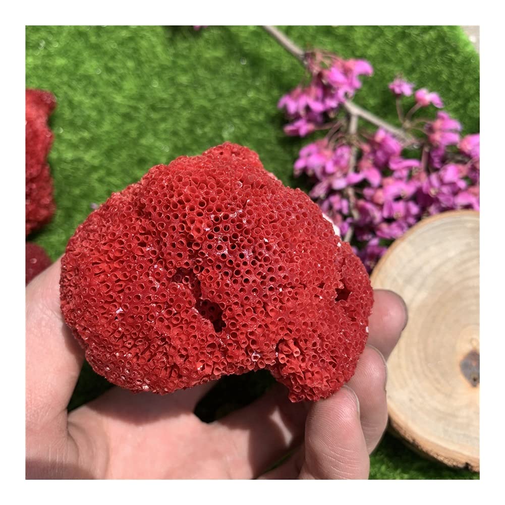 精緻な植物紋★サンルイ クリスタル 大型デキャンタ 36㎝ アールデコ期 Amazon｜ヒーリングクリスタル 自然なサンゴの木の海洋赤い