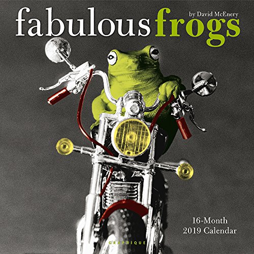 Fabulous Frogs 2019 Calendar