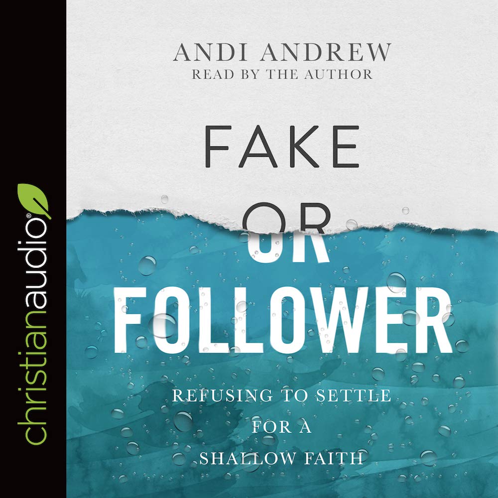 Cover art for Fake or Follower