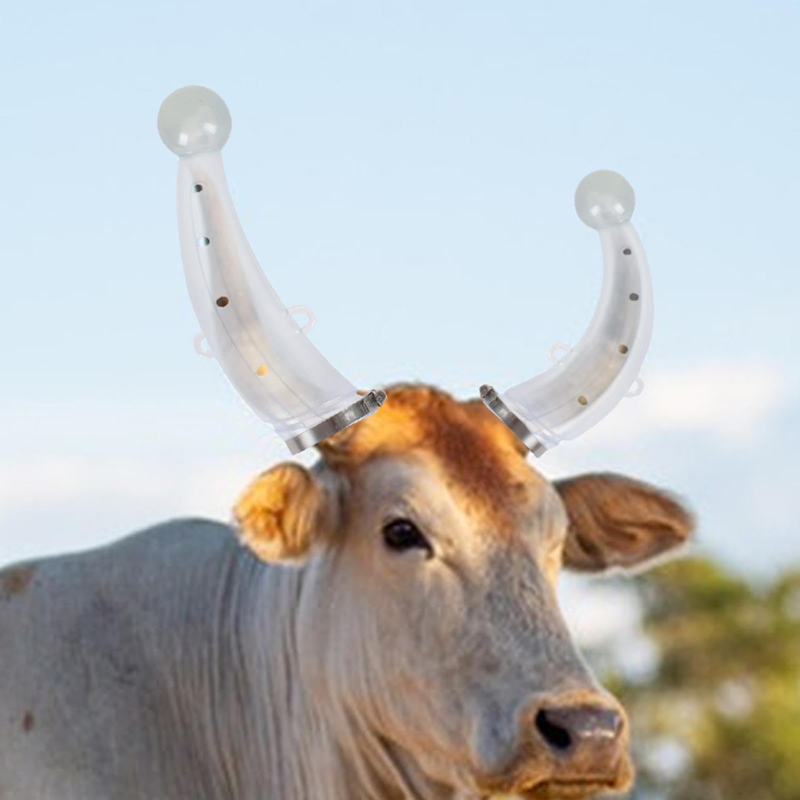 Silicone Veau Taureau Vache Chèvre Corne Protections Confortable Protecteur de corne de vache Grand | FR