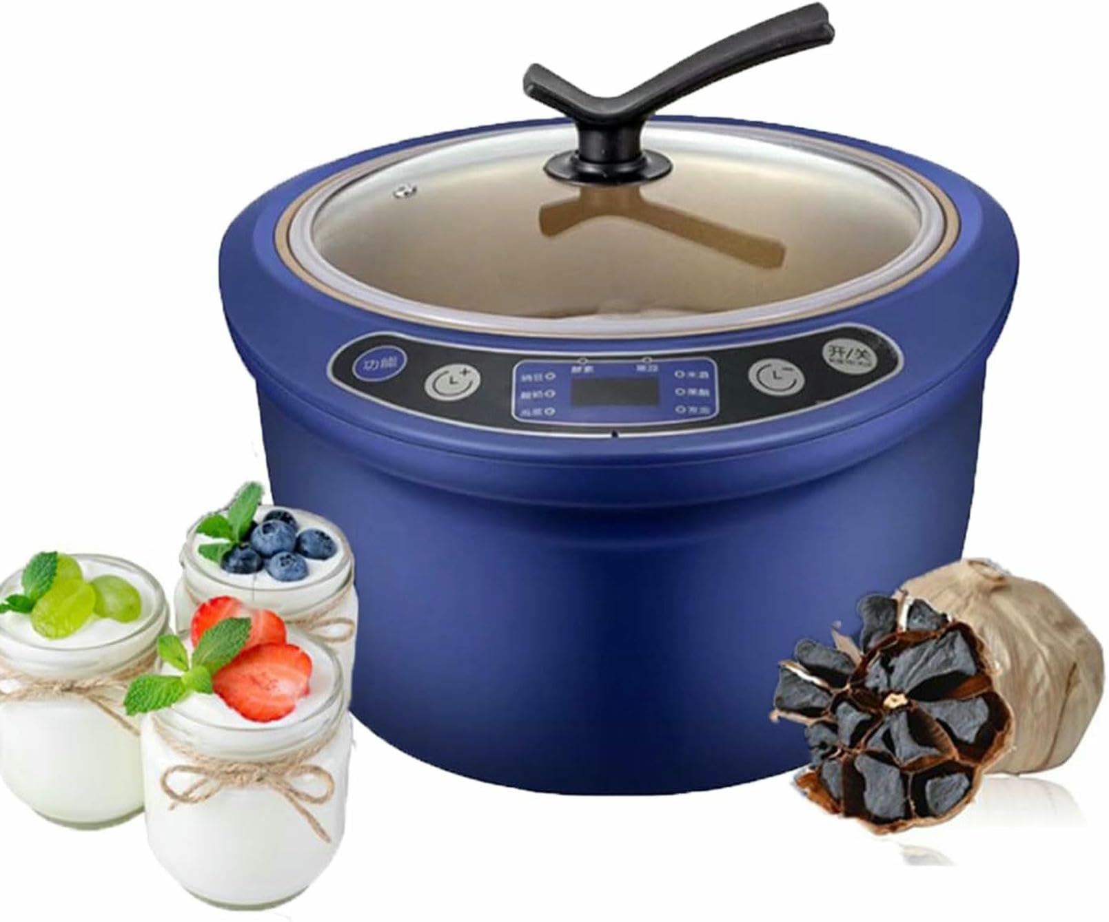 Machine à ail noir 6L automatique : fermenteur électrique multifonction