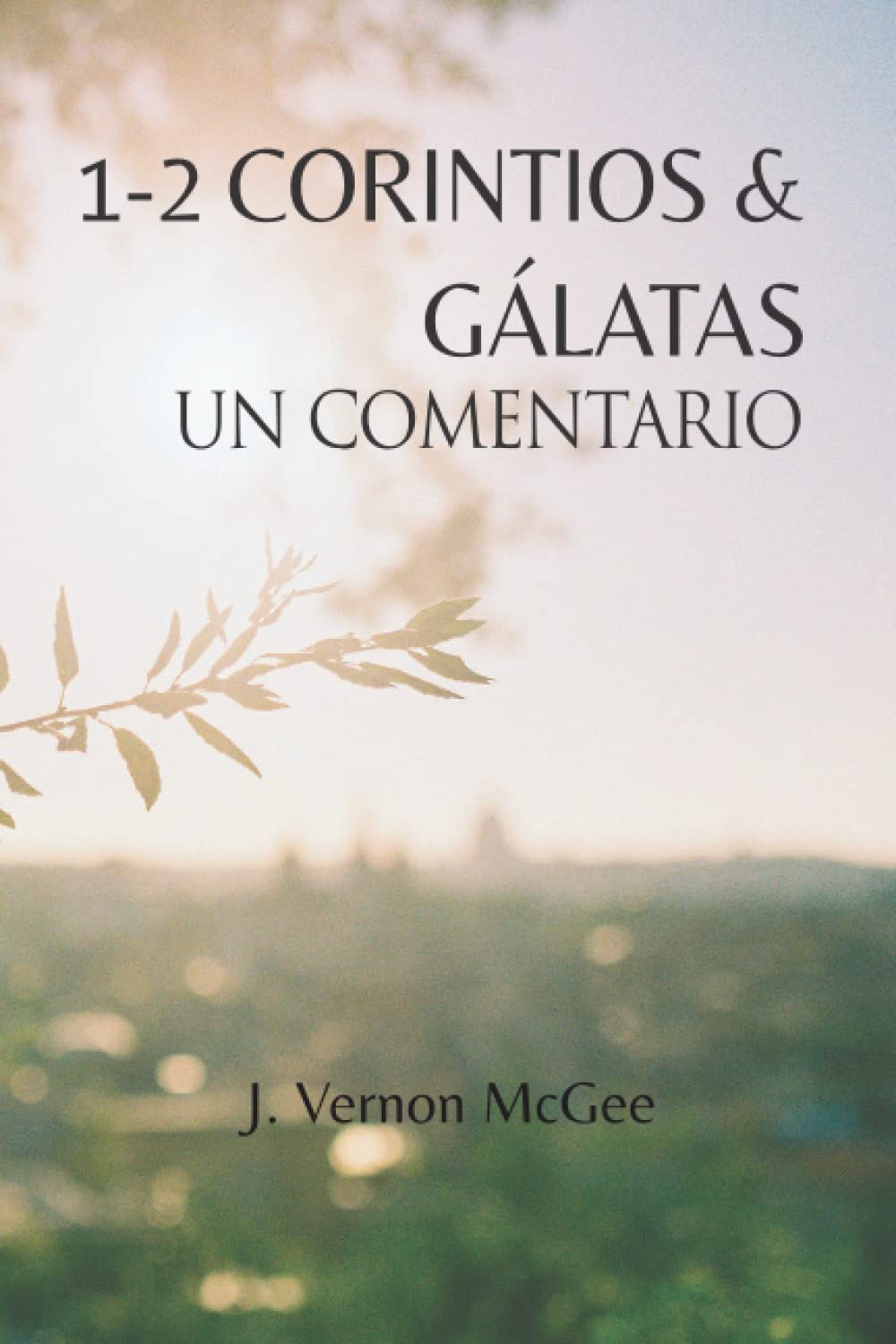 1-2 Corintios & Gálatas, Un Comentario