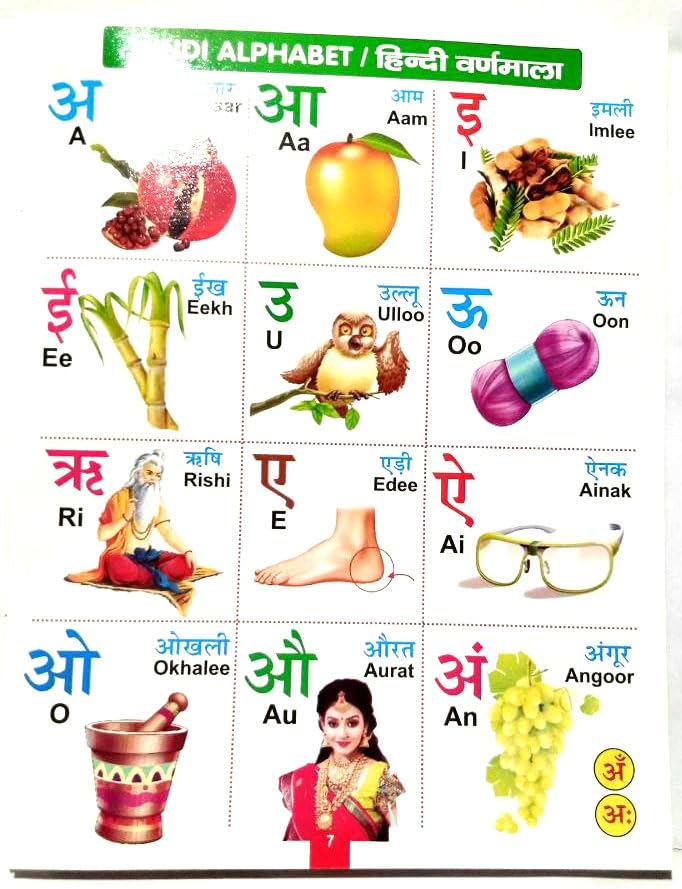 ARETOR All in One Book for Kids, Early Learning, Pre-Nursery, ABCD, Hindi and English Alphabets, Fruits, Vegetables, Poems, Stories, Shapes
