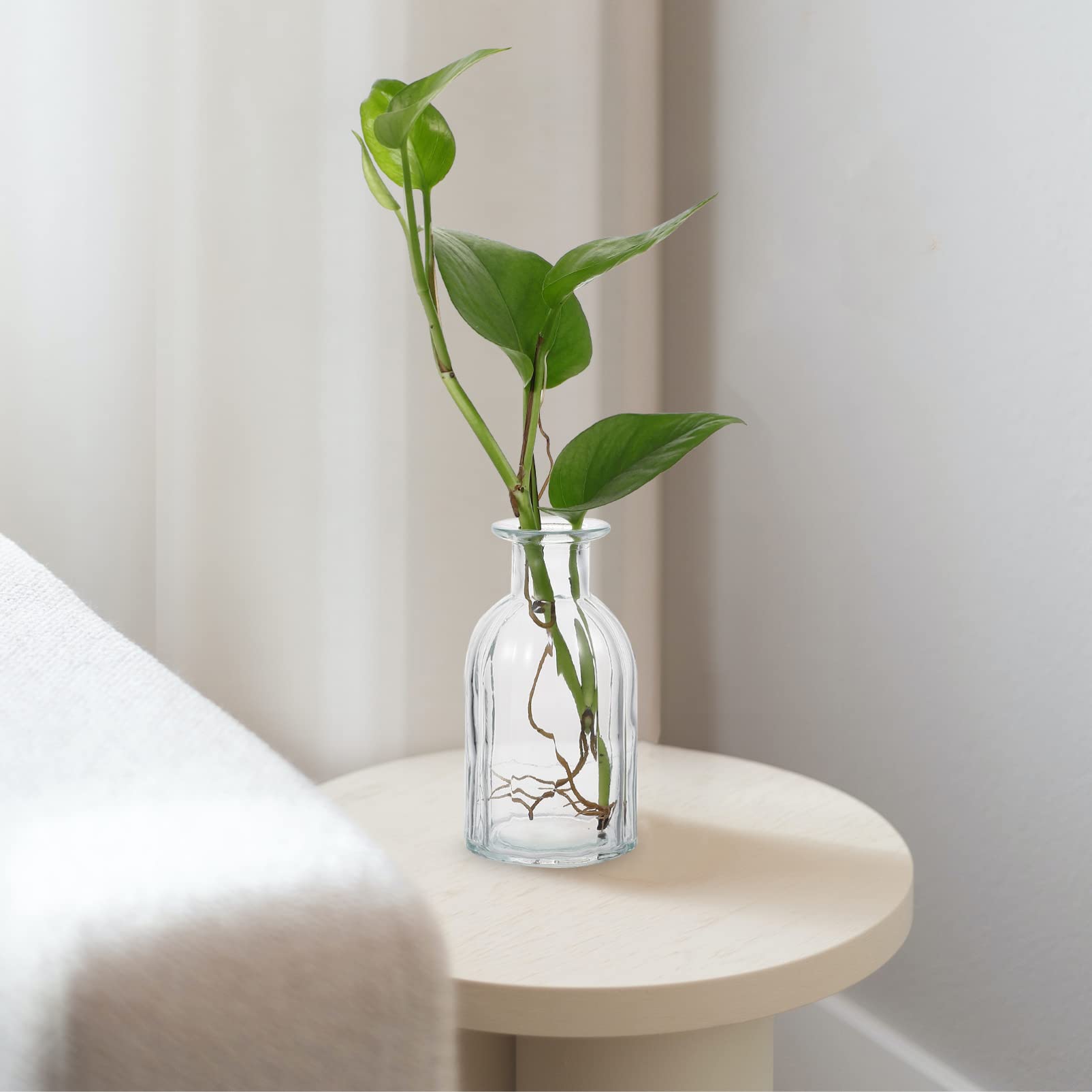 Vase Hydroponique Mini 4 Pcs en Verre pour Fleurs, Décoration