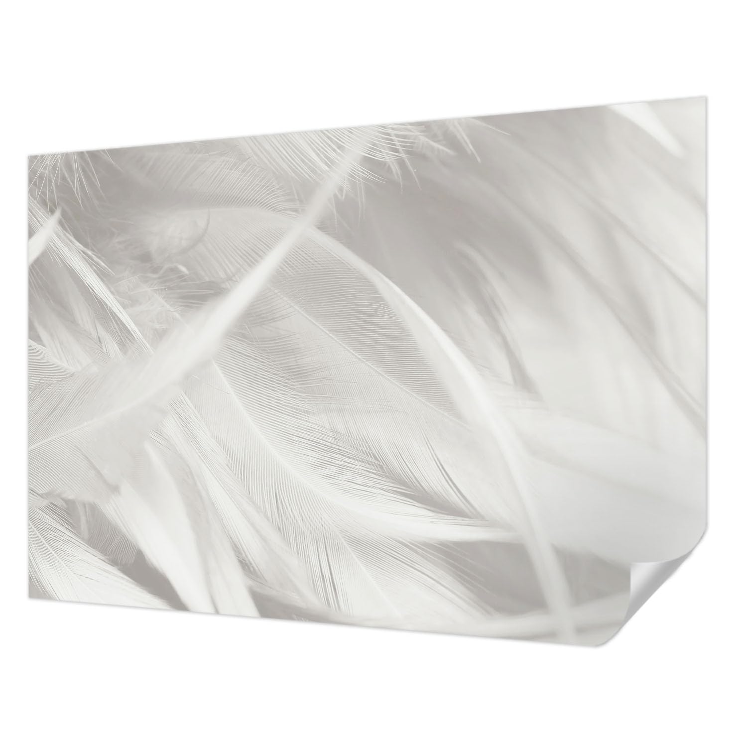 Papier peint plumes subtiles Tulup 208x146 cm panoramic