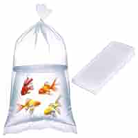 fish福袋　FL clear fish福袋 FL clear Amazon.com : Xsourcer Aquarium Fish Bags