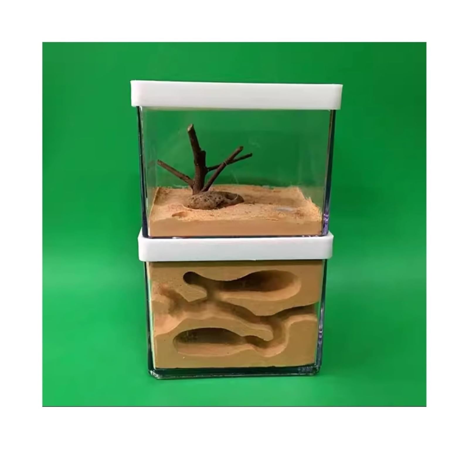 Gypsum Ant Castle
