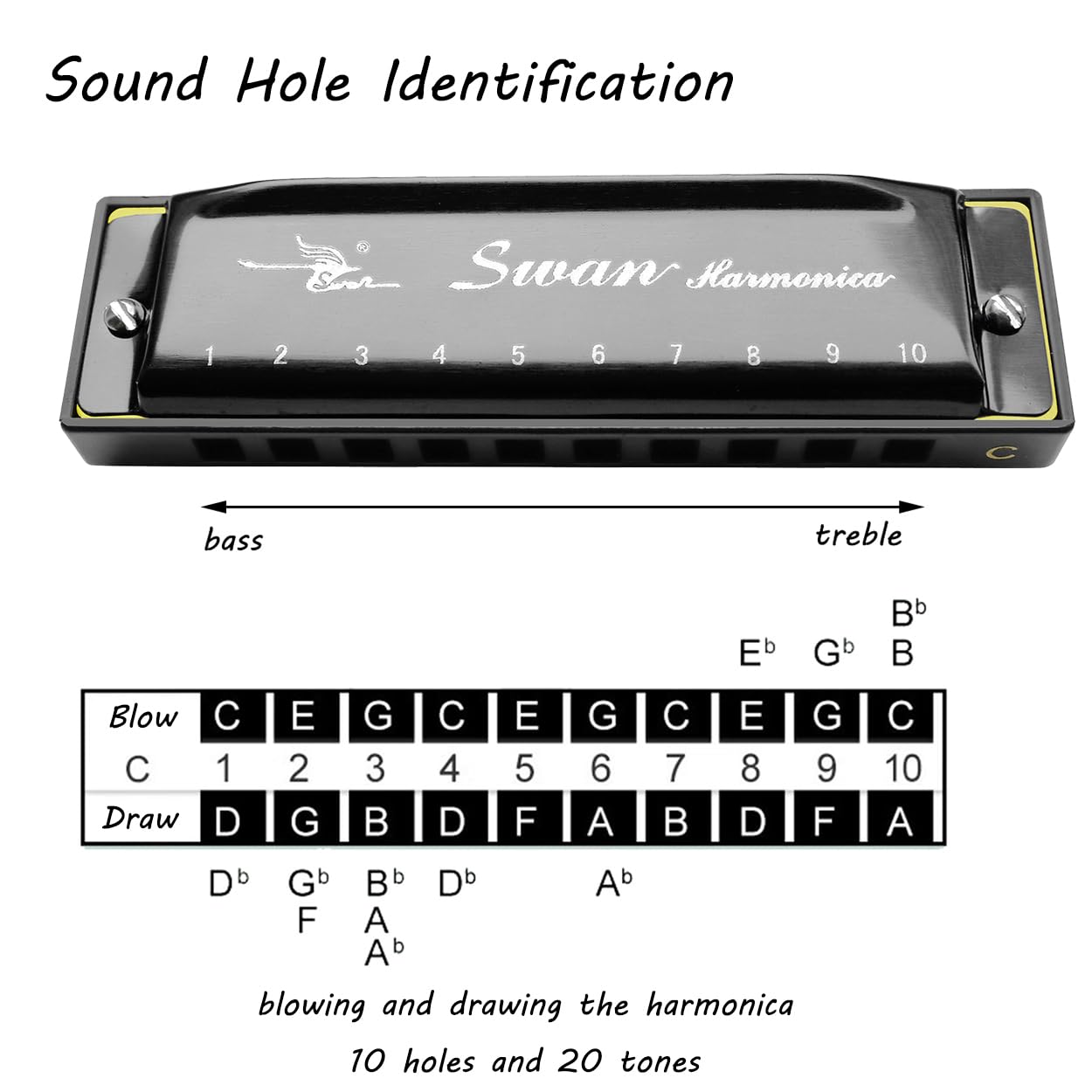 Amazon.com: Harmonica Armonica Mouth Organ Blues Harmonica Key of