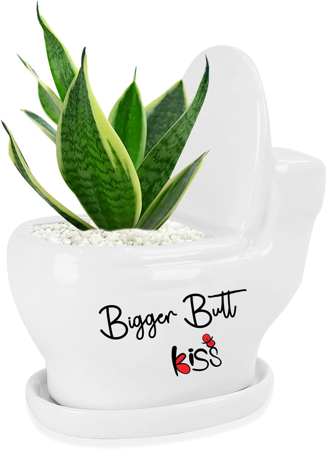 Cute Toilet Shaped Succulent Pot, Funny Housewarming Gifts, Personalized Gifts Present for Sister and Friends, Cement Flower Plant Pot with Drain Hole,Small Planters for Indoor Plants