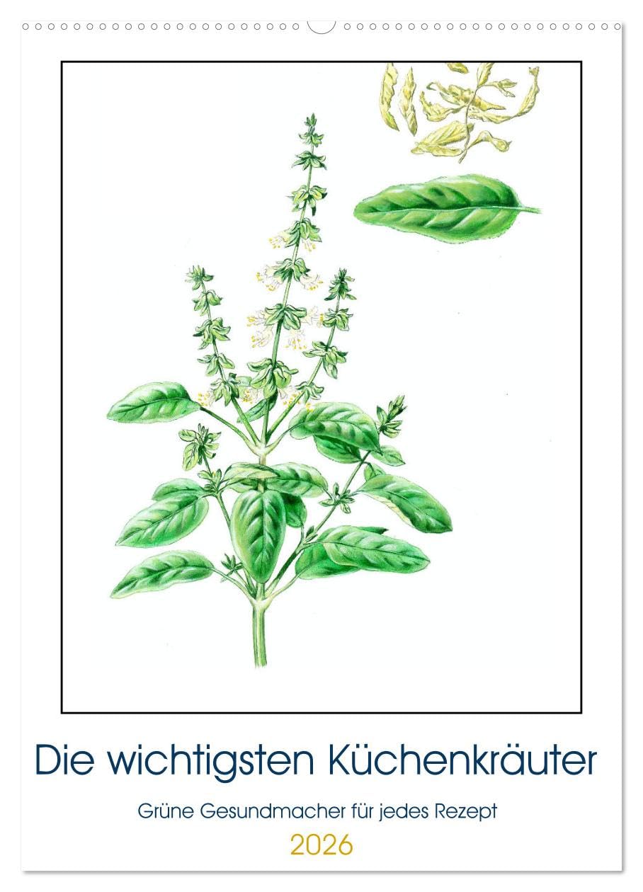 Die wichtigsten Küchenkräuter (Wandkalender 2026 DIN A2 hoch), CALVENDO Monatskalender: Kräuter machen den unverwechselbaren Geschmack einer Küche aus (CALVENDO Lifestyle)