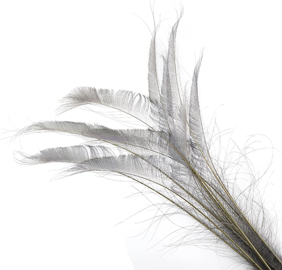 ZUCKER - Natural Peacock Sword Stem Feathers - 10 Piece Packaged Feathers for Art Supply, DIY, Craft, Home Décor, 30”- 40” - Iris