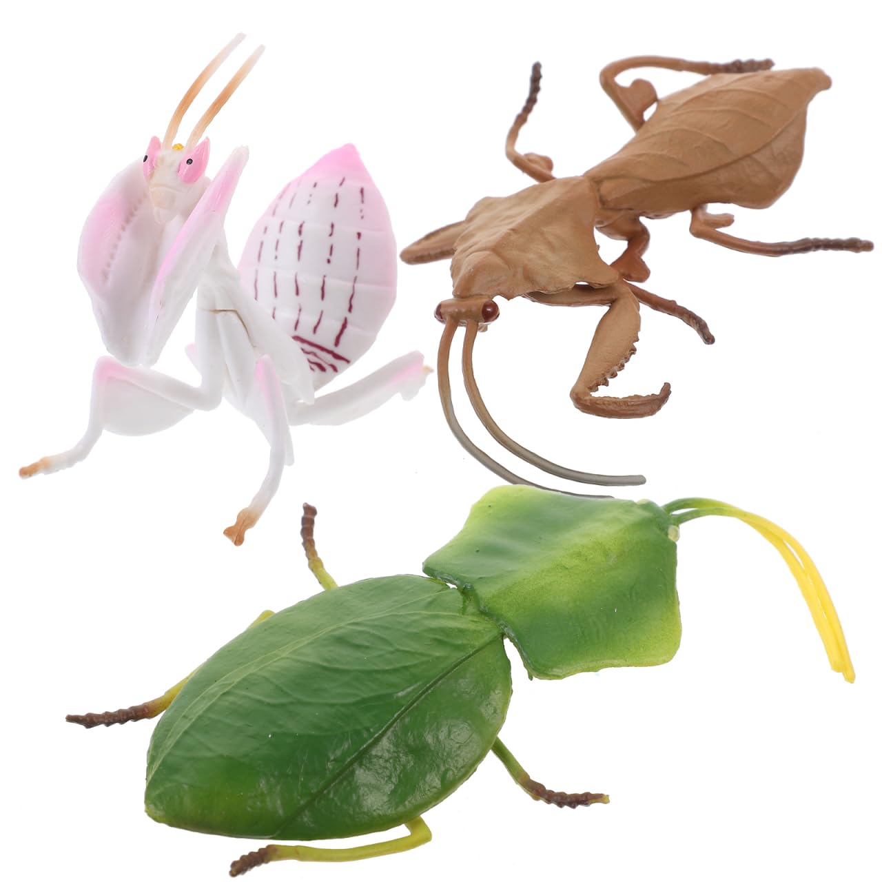 Amazon.co.jp: STOBOK 昆虫モデル リアル カマキリフィギュア 3匹 動物