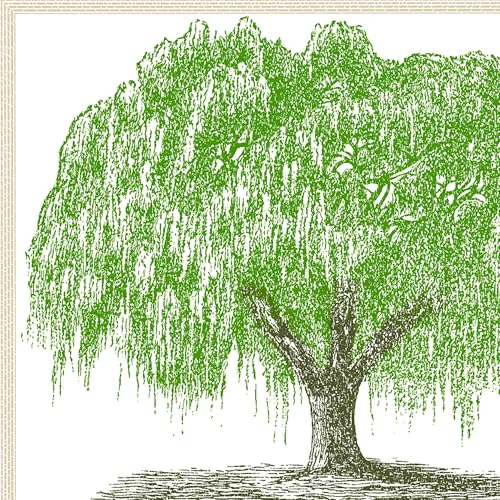 Page de couverture de Life Under The Willow Tree