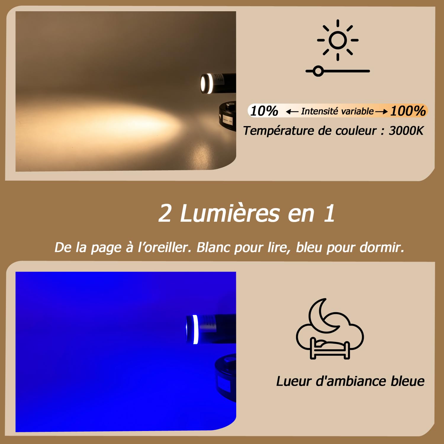 D-lite Liseuse LED 12V avec USB pour Camping Car, Blanc Chaud, Lot de 2