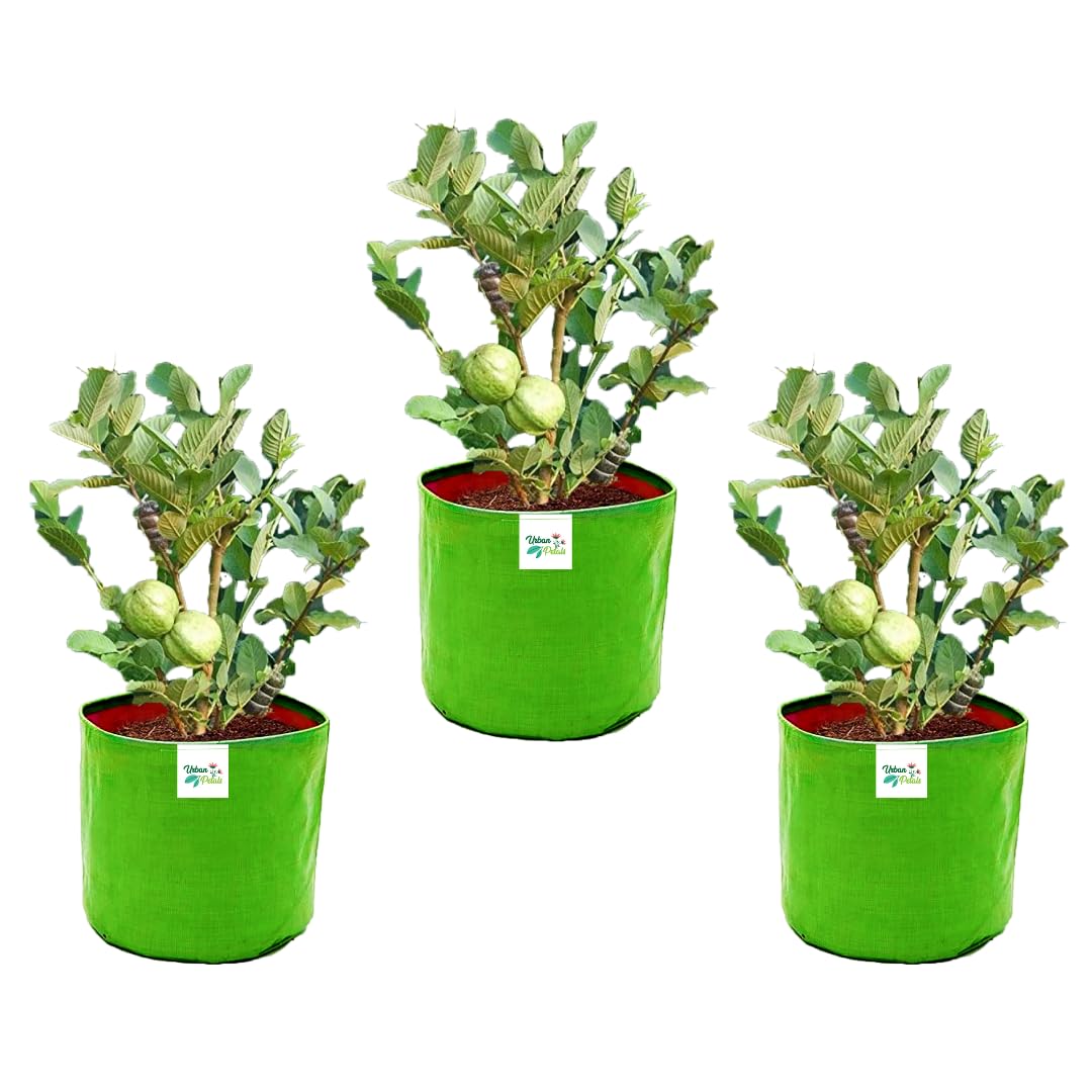 URBAN PETALS 18X18 Inches 280 GSM Grow Bag | Pack of 03 | for Flowers & Vegetables | 10 Years Long Life