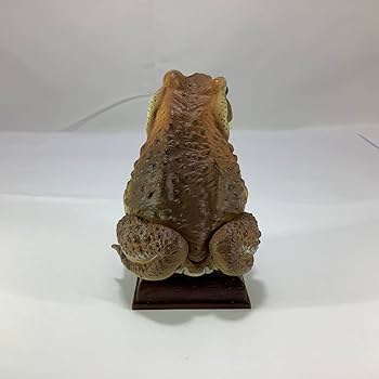 Amazon | 【開封品】 日本のカエル ニホンヒキガエル フィギュア