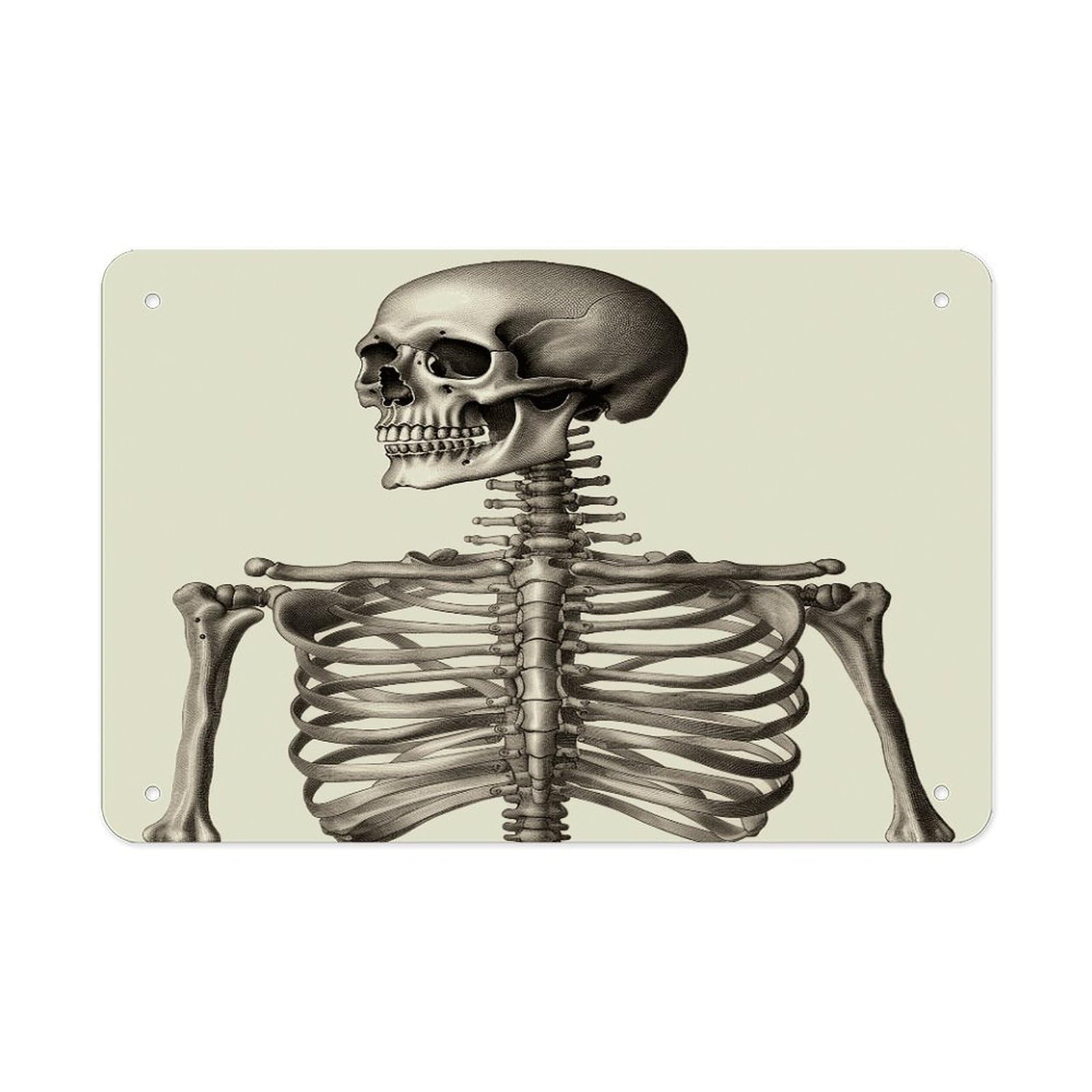 Fodpand Style Human Skeleton Wall Art Metal Signs Tin Sign
