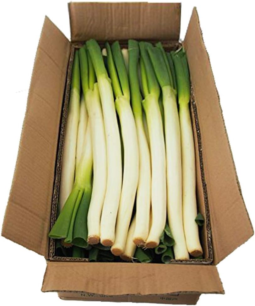 長ネギ 2l 5 中国産 サンフレッシュ ねぎ 通販 Amazon