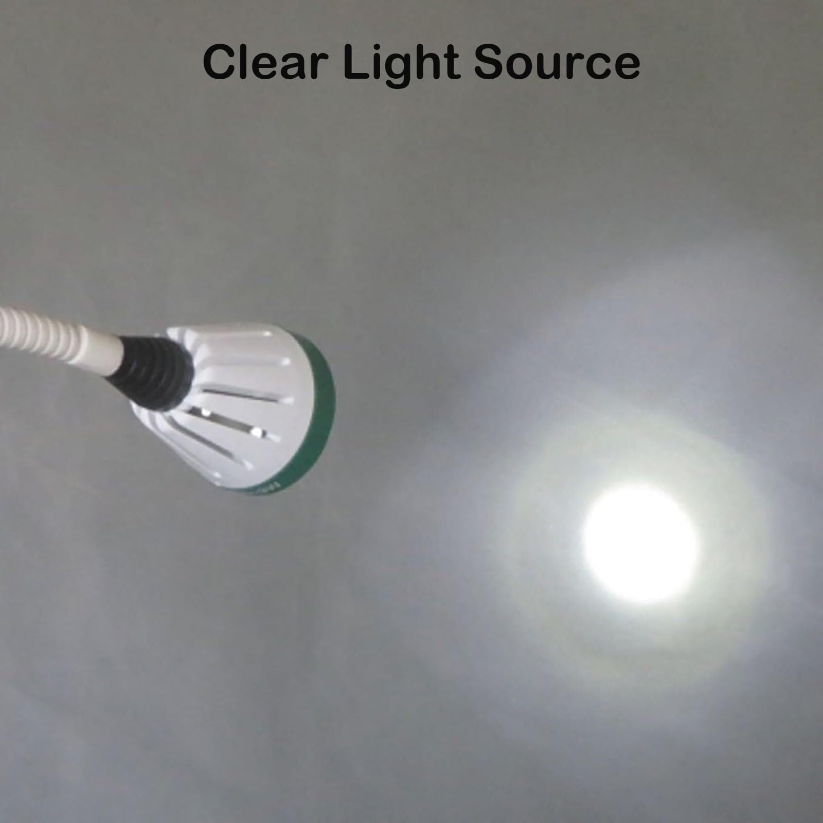 Luces de examen médicas Lámpara Dental De Pared, Lámpara De Exploración De Cuello De Cisne, Ideal For Ginecología, Consultas Externas, Estomatología Y Otorrinolaringología