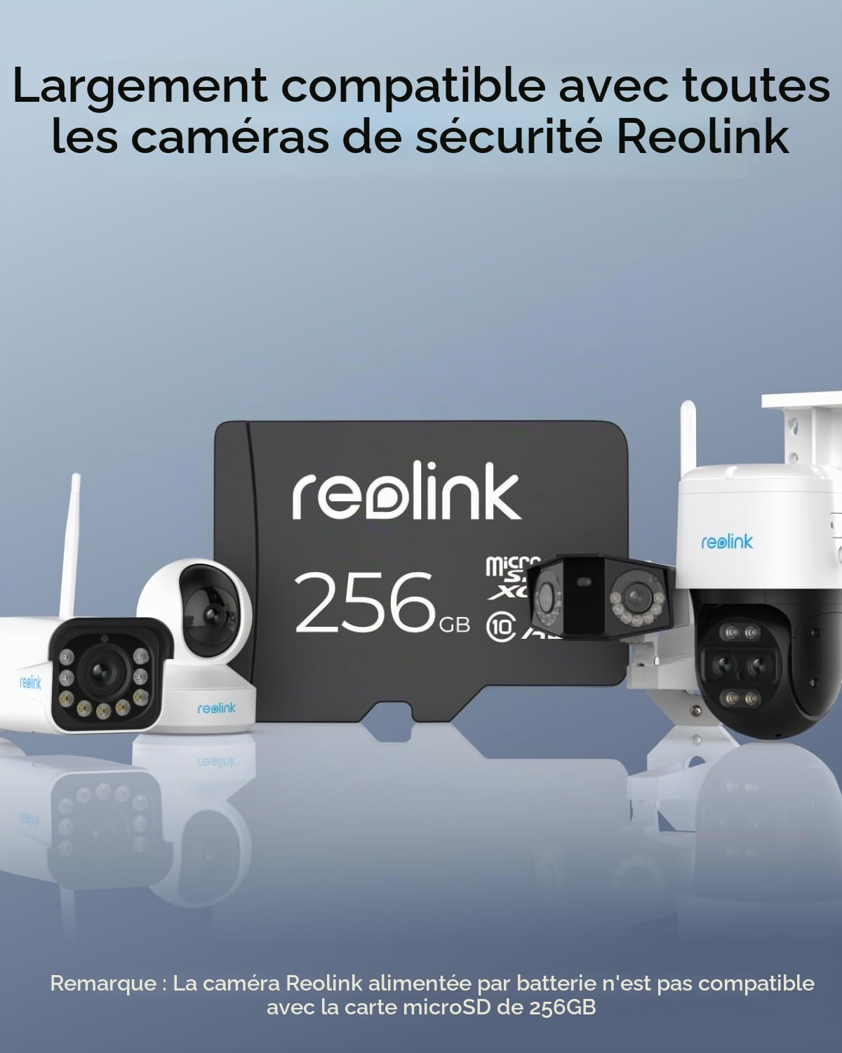 Reolink 256GB Carte microSD, Carte Mémoire microSDXC à Grande Vitesse A2 U3 de Classe 10, Compatible avec Caméra de Surveillance Reolink | Compatible avec Caméra de Surveillance Reolink