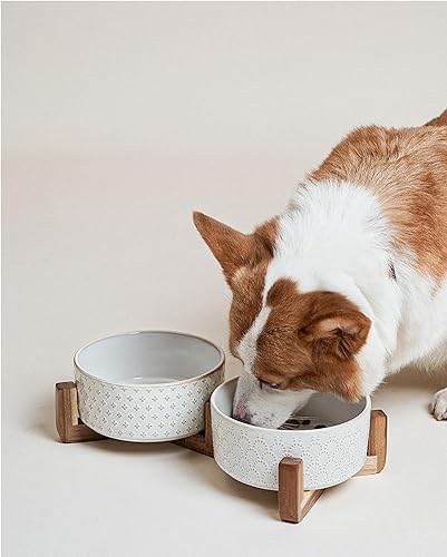 Miniatura 8 de Cuencos de cerámica para perros pequeños y medianos, juego de 3 tazas de cuencos dobles para alimentos y agua con soporte de madera de acacia,