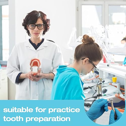 Miniatura 5 de ANNWAH Dientes Typodont extraíbles para modelo de dientes dentales Typodont, práctica dental y enseñanza reemplazan el modelo desmontable (32