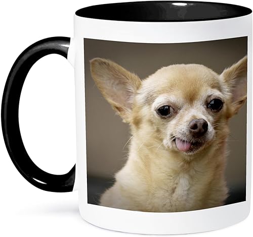3dRose Julien Mcroberts Chihuahua Dog, Santa Fe, New Mexico-US32 JMR0502-Julien Mcroberts - Taza de dos tonos, 11 onzas, negro/blanco