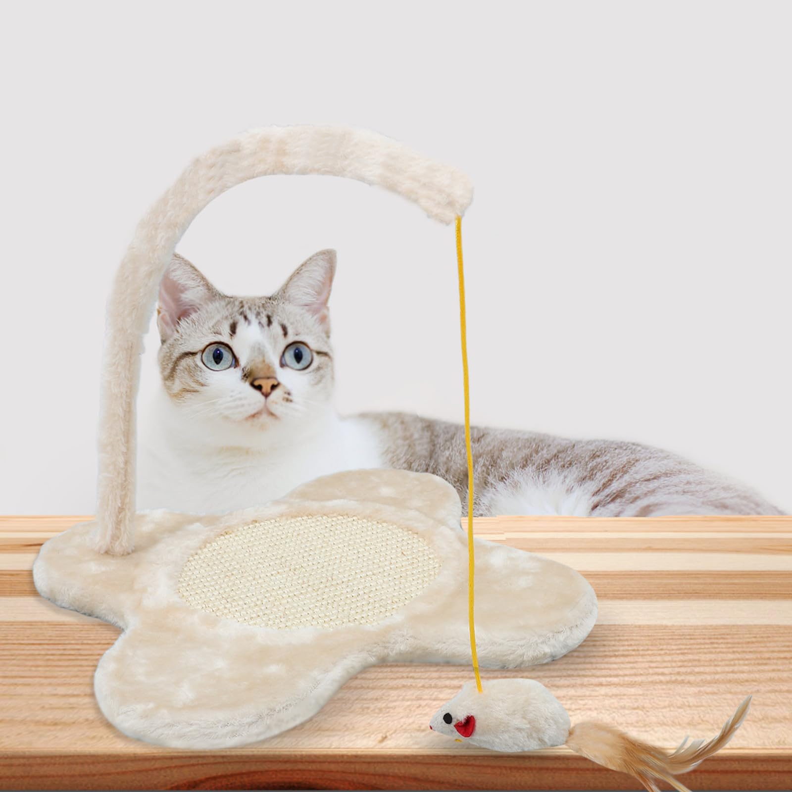 Blumenförmiges Katzen Kratzbrett aus Plüsch mit Hängender Spielzeugmaus für Indoor Katzen Fördert Bewegung und Bietet Eleganten Kratzspaß