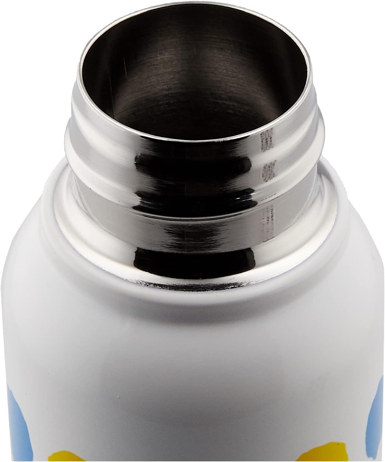Leo Lionni 278444 Stainless Steel Bottle, Water Bottle, Approx. 10.1 fl oz (300 ml), Aokun Kiiro-chan