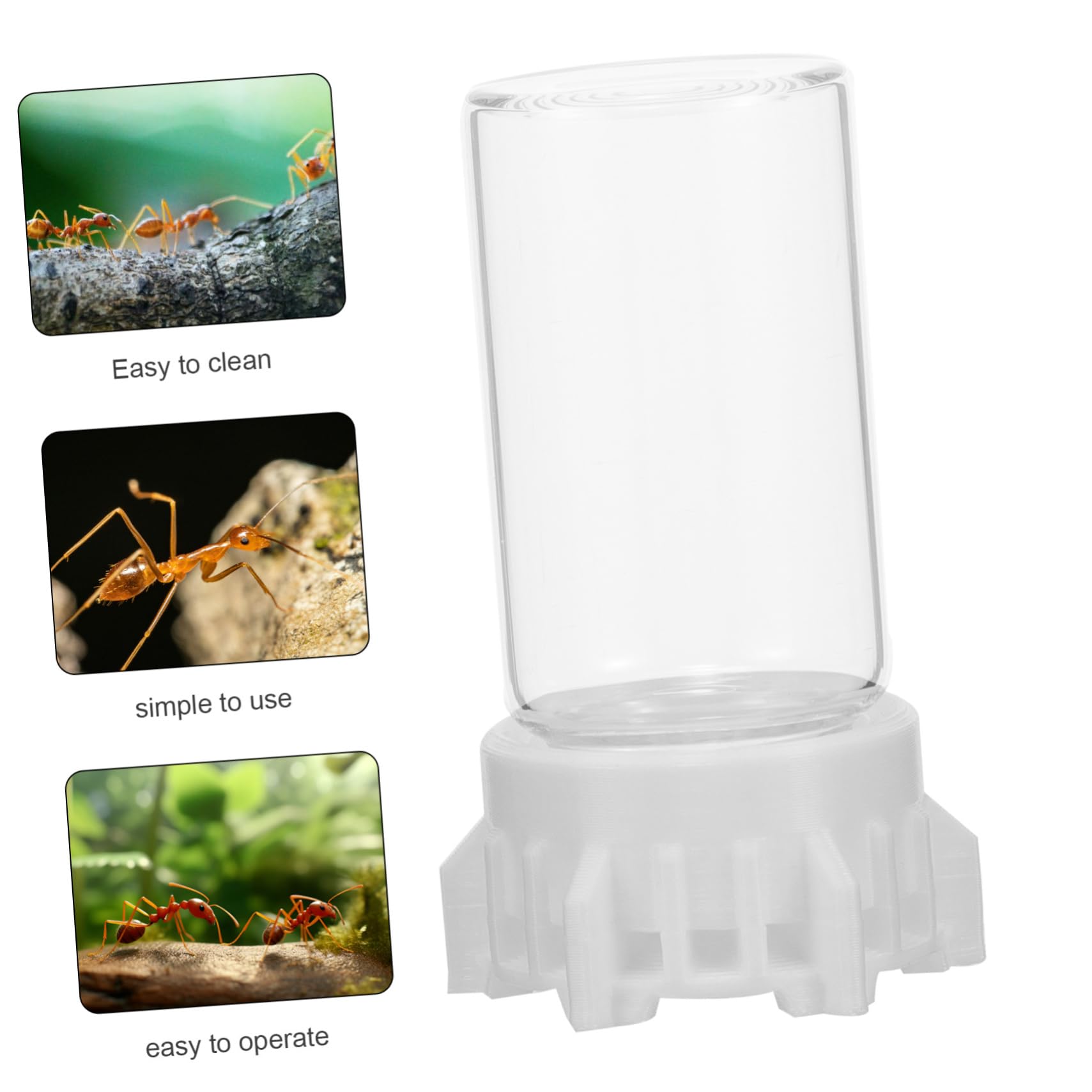 INOOMP 5stücke Ant Wasser Futterspender Transparente Ameisenfütterungsbox Leicht Zu Reinigen Langlebig Für Ameisennester Und Garten Sicheres Trinken Für Ihre Ameisen