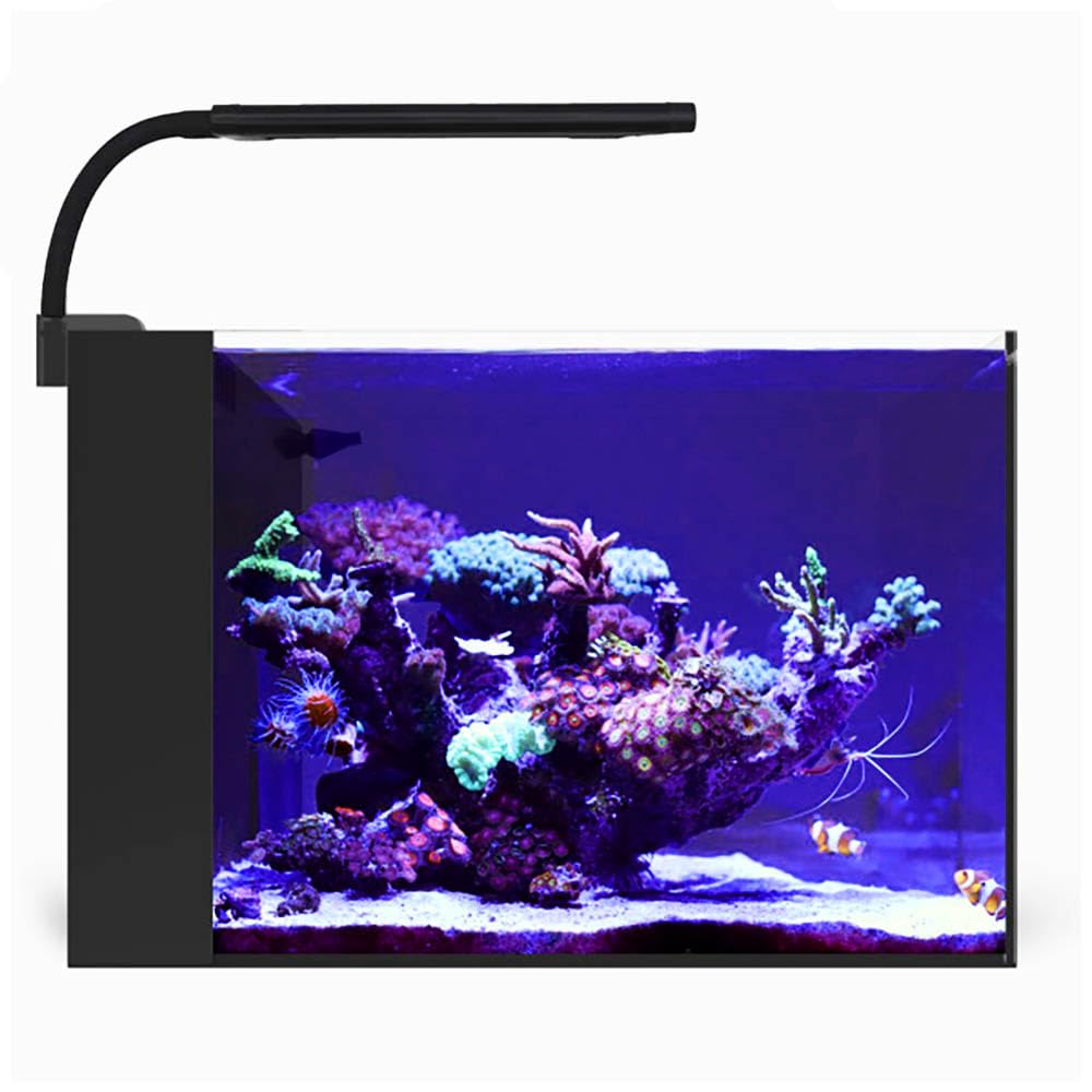 CURRENT Orbit Marine NANO LED 16 Watt Reef LED Saltwater Marine Aquarium Coral Light with Dimming, Moonlight, Cloud Cover & Lighting Storm Clip On Small Fish Tank w/Mounting Bracket (4095) - image 7