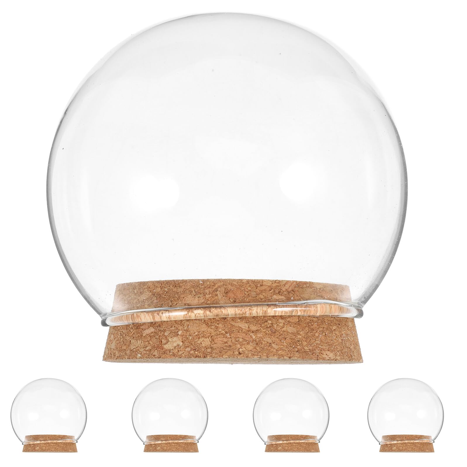 Cloches transparentes pour fleurs stabilisées et objets de collection avec socle liège