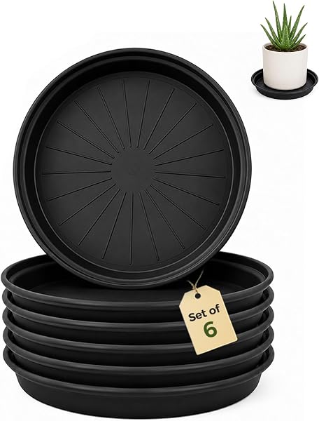 Bamworld soucoupes pot de fleur 15,3 cm, lot de 6
