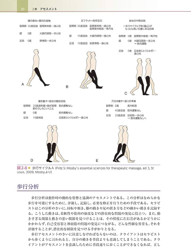 ディープティシュー・マッサージ療法 第2版: 深部組織に働きかけ、痛み