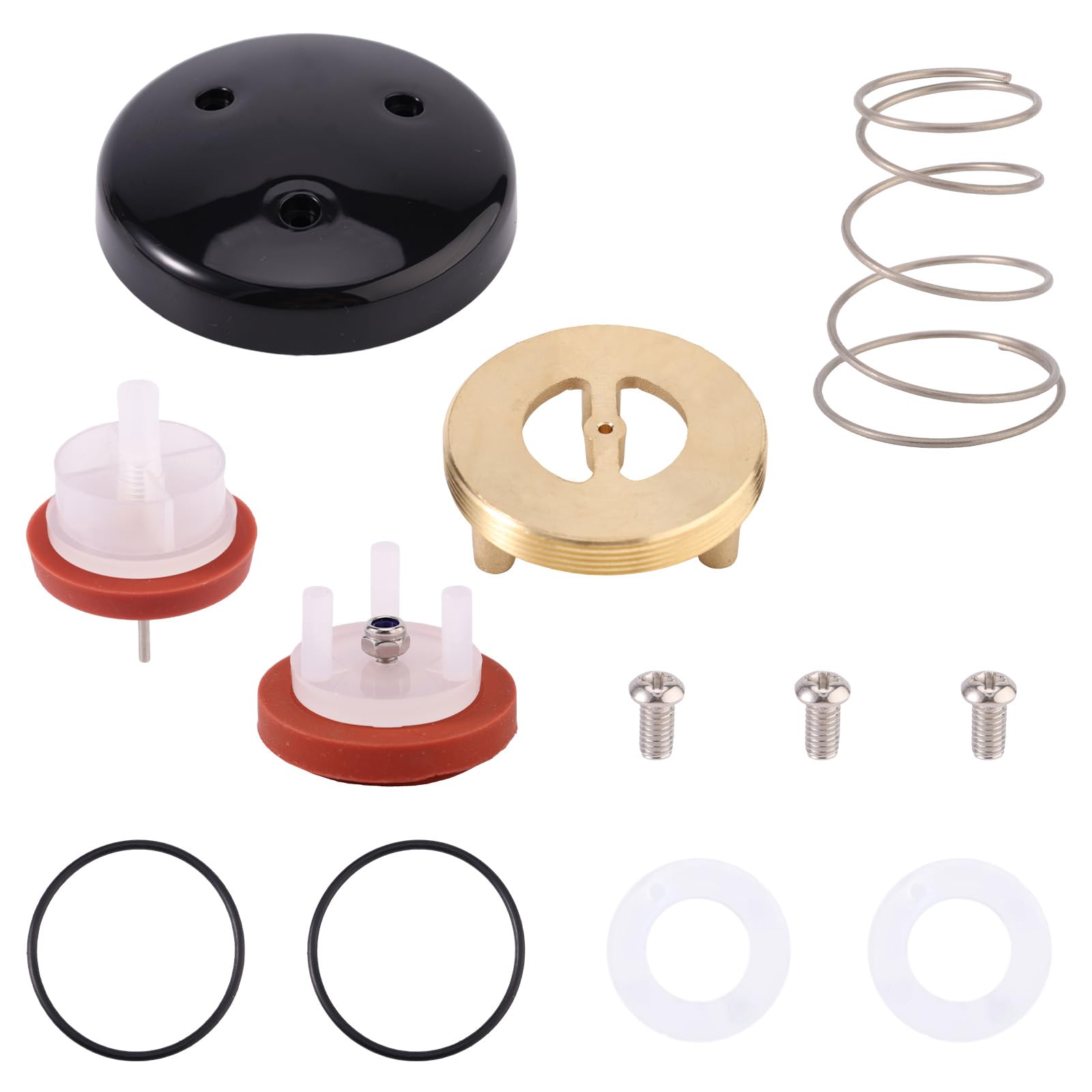 Amazon.com: Gosknor RK1-720A Pressure Vacuum Breaker Repair Kit